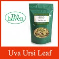 Uva Ursi Leaf Tea